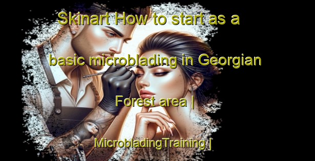 Skinart How to start as a basic microblading in Georgian Forest area | MicrobladingTraining | MicrobladingClasses | SkinartTraining-United States
